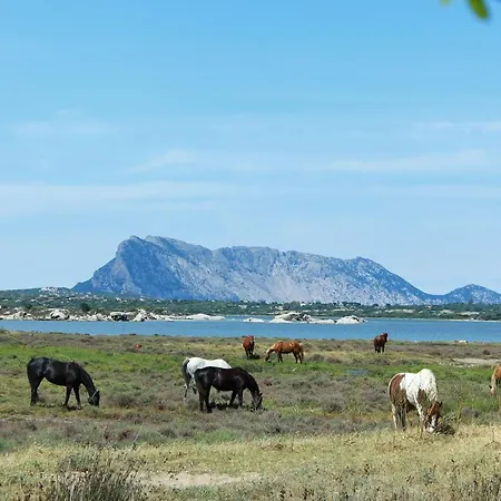 La Padula San Teodoro (Sardinia)